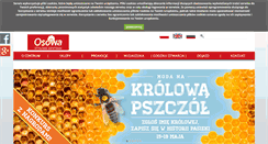 Desktop Screenshot of chosowa.pl